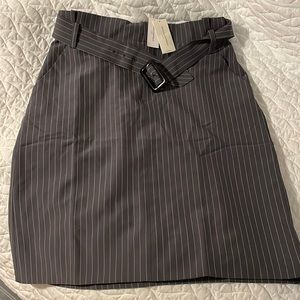 Striped Pencil Skirt